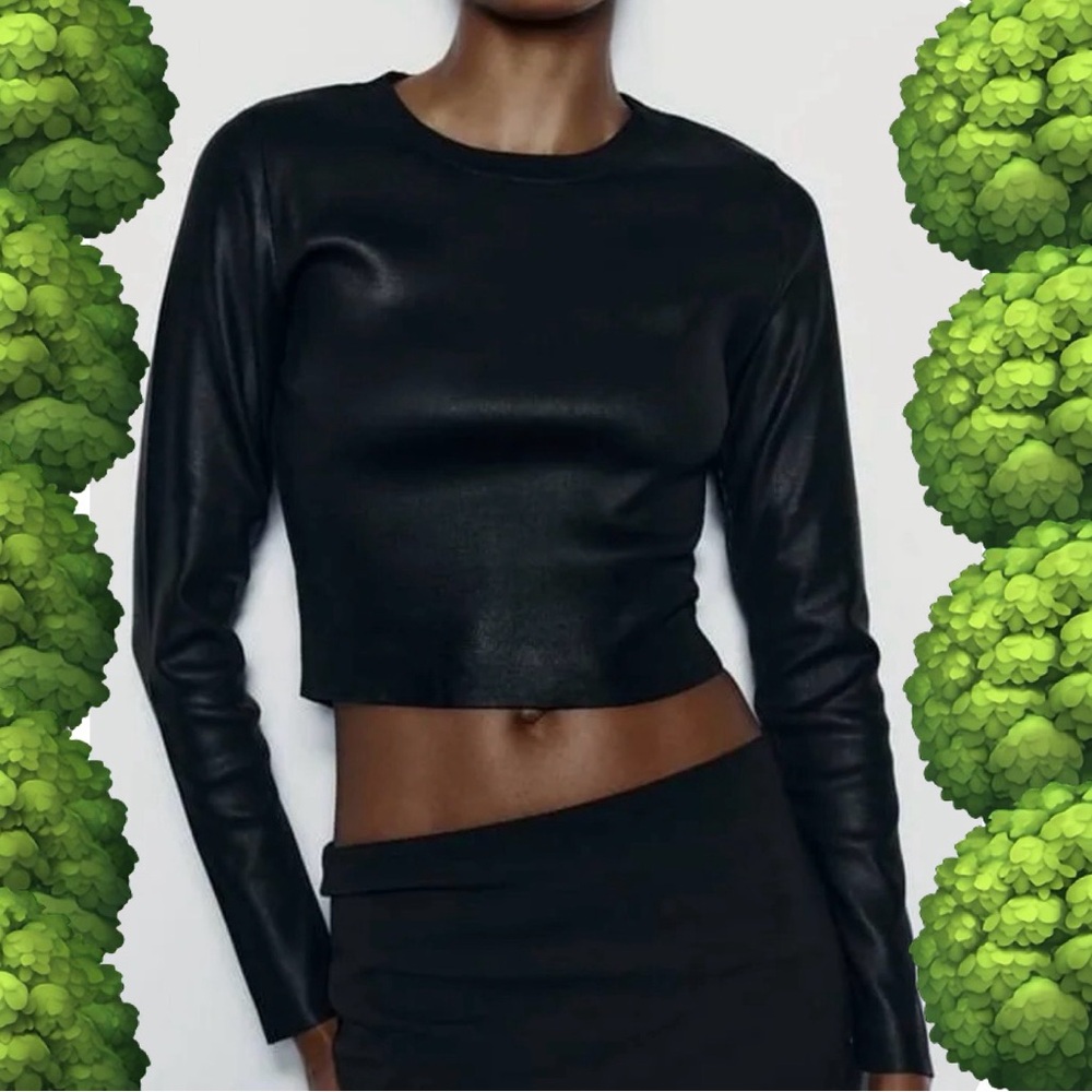 🌳🕊️ZARA top